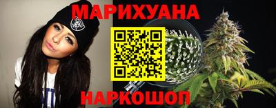 сатива Кунгур